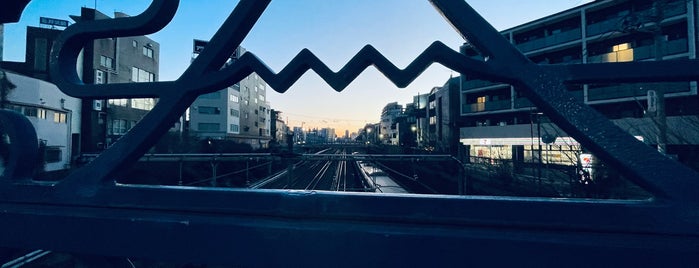 駒込橋 is one of 渡った橋（東日本）.