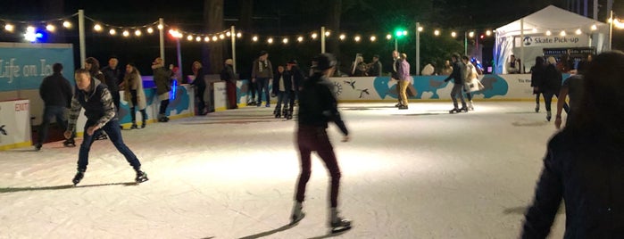 Cal Academy Ice Rink is one of San Francisco Stops.