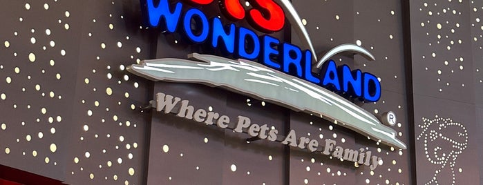 Pet World is one of KL.