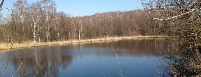 Вероникин пруд is one of Alex: сохраненные места.