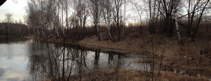 Пруд 🌾 is one of Lieux qui ont plu à Alex.