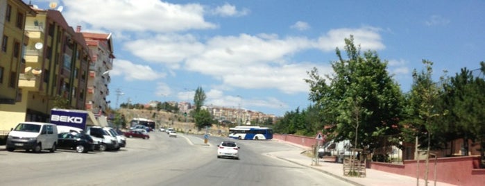 Sakız Ağacı Caddesi is one of Tayfun 님이 좋아한 장소.