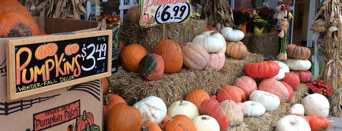 Trader Joe's is one of Top 10 favorites places in St Louis, MO.