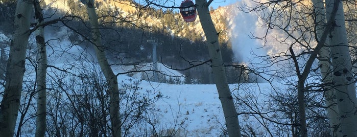 Starbucks is one of Aspen colorado.