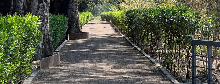 Pista De Correr Los Patos is one of All-time favorites in Mexico.