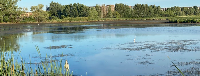 Purgatory Creek Park is one of parks.