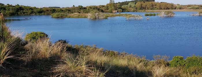 Vogelmeer, Kennemerduinen is one of Tempat yang Disukai Rene.