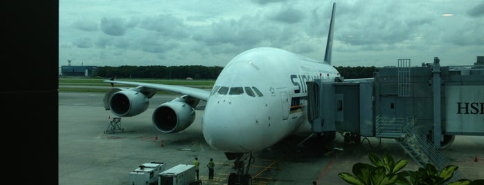 SQ346 SIN-ZRH / Singapore Airlines is one of SQ Flights Departing SIN.