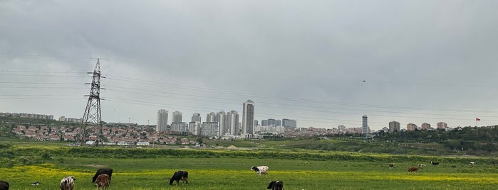 Firuzköy is one of Locais salvos de i.