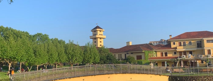 Sala de Degustação - Miolo is one of Serra Gaúcha.