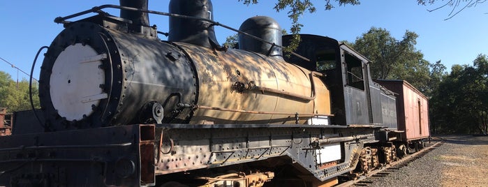 Railtown 1897 State Historic Park is one of CA State Parks with Junior Ranger Programs.