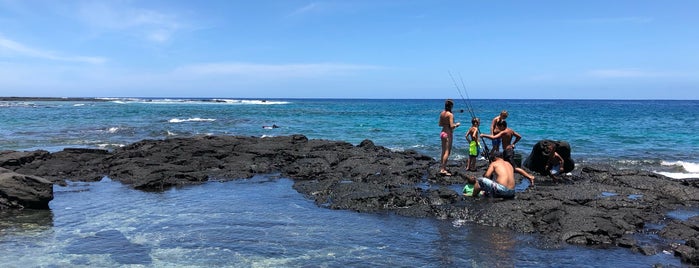 Hōnaunau Bay Puʻuhonua Pt. is one of Dan: сохраненные места.