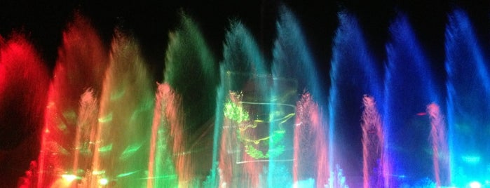 Magic Dancing Waters is one of Locais curtidos por Elena.