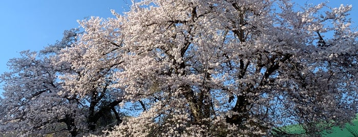 津南町立外丸小学校跡 is one of 信濃川河岸段丘ウォーク.