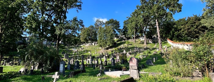 Rasų kapinės | Rasos cemetery is one of Grazios vietos.