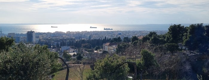 Το Κτήμα - καφές, ποτό με θέα is one of Drink in Thessaloniki.