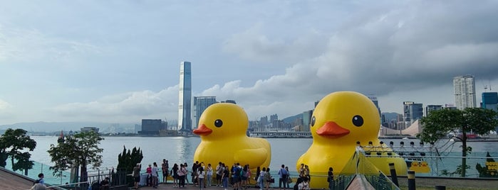 Double Ducks is one of Макао/Гонконг.
