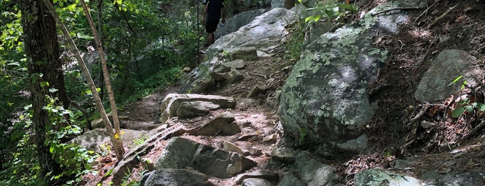House mountain is one of East Tennessee Parks and Recreation.