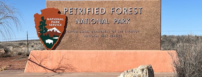 Petrified Forest National Park is one of Arizona.