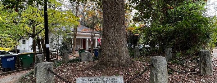 The Tree That Owns Itself is one of Athens, Georgia.