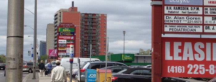 Newtonbrook Plaza is one of Greater Toronto Area Malls.