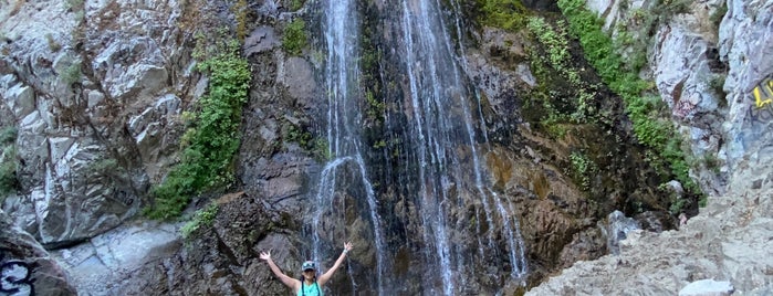 Bonita Falls is one of Visited.