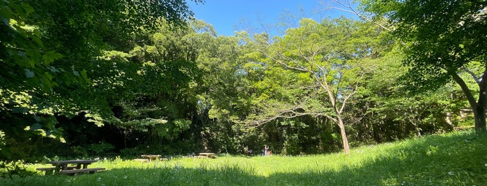 陣ヶ下渓谷公園 is one of 神奈川散歩.