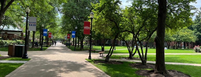 DePaul University Quad is one of Tempat yang Disukai Jackie.