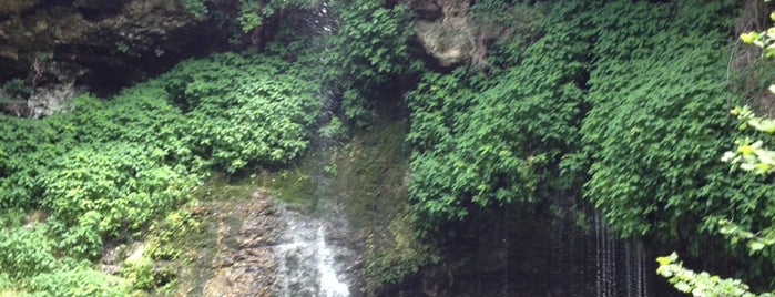 Natural Falls State Park is one of Tysonさんのお気に入りスポット.