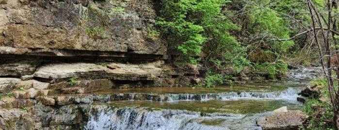 Cove Spring Park is one of Waterfalls.