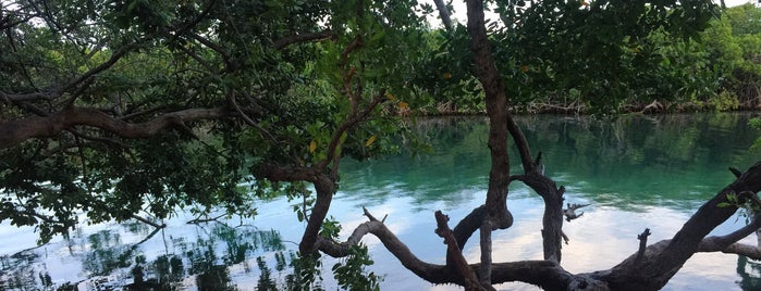 Laguna Nichupte is one of สถานที่ที่ Nancy ถูกใจ.