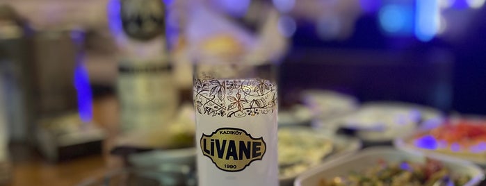 Livane Meyhane is one of İstanbul Meyhane 2018-2020.