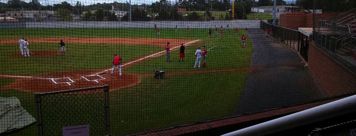 Bing Crosby Stadium is one of Tempat yang Disukai Lizzie.