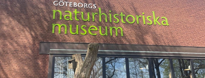 Göteborgs Naturhistoriska Museum is one of I Göteborg.
