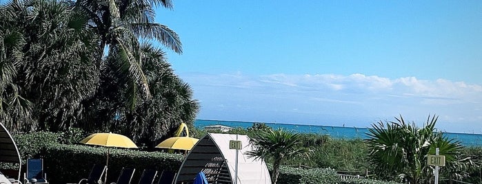 Hilton Cabana Pool is one of Miami.