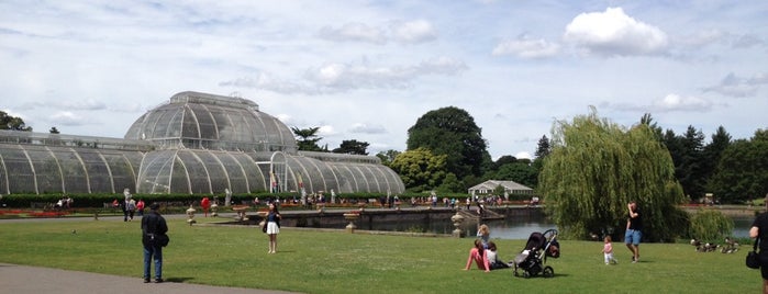 Королевские ботанические сады is one of London.