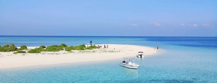 Oe Dhuni Finolhu (Sandbank) is one of Maldives.