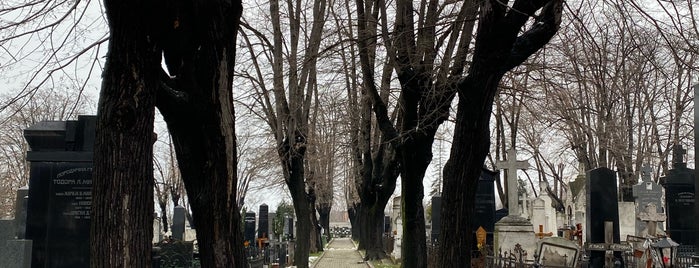 Novo groblje is one of Belgrade.