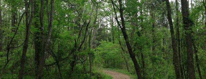 Hagan Stone Park is one of hiking asheboro.