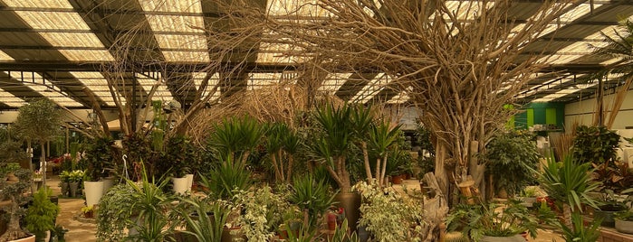 الحديقة الجميلة is one of Riyadh.