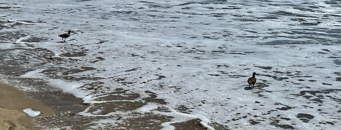 Dockweiler State Beach is one of Posti che sono piaciuti a eric.