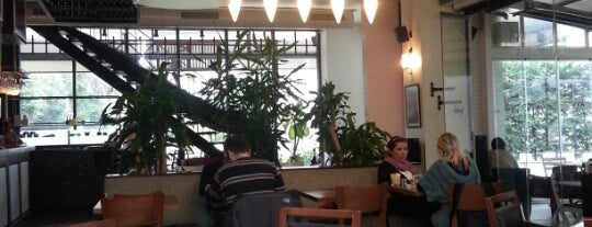 Kirpi Cafe & Restaurant is one of Locais curtidos por Ayshe.