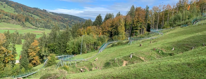 Alpsee Coaster is one of Bavaria.