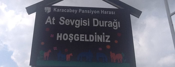 TJK Karacabey Pansiyon Hara is one of Ersoy'un Beğendiği Mekanlar.