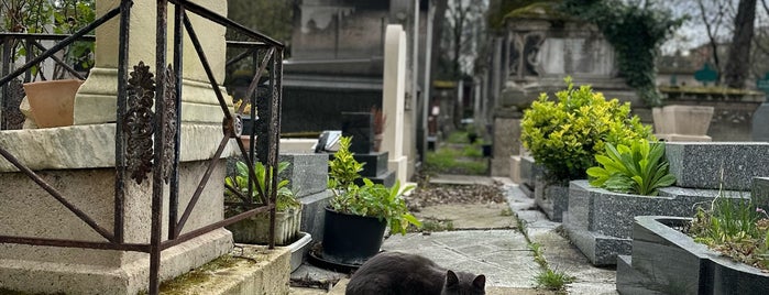 Cementerio de Montmartre is one of París.