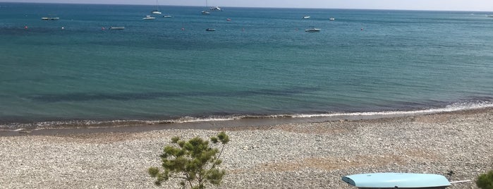 Columbia Pebble Beach is one of Lieux qui ont plu à George.