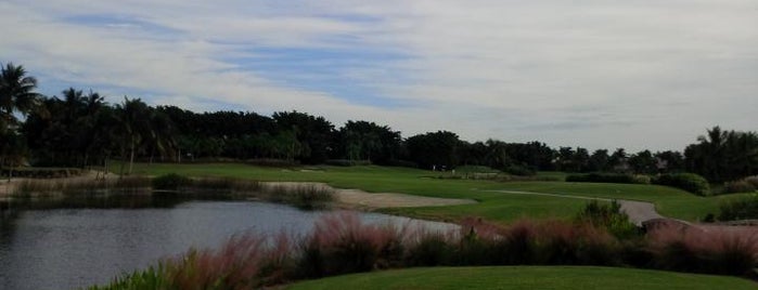 Estuary At Grey Oaks Country Club is one of GOLF.