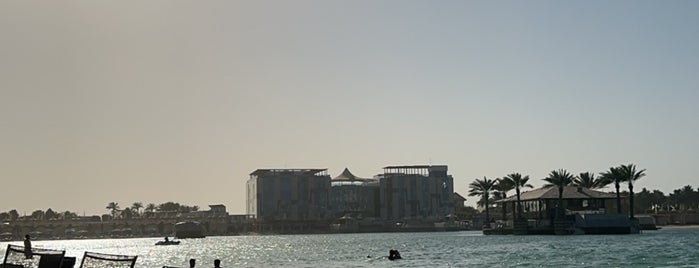 Reef Island is one of Manama.