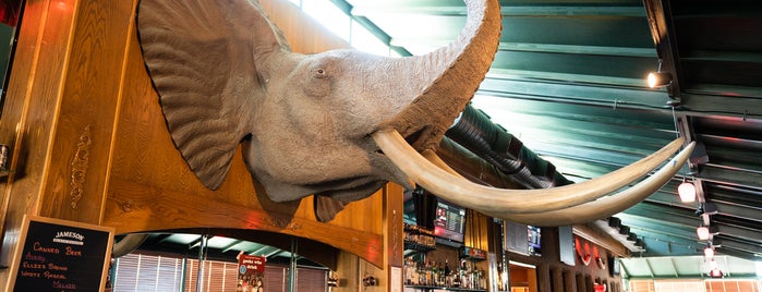 Tusker Bar is one of Cheyenne.