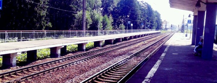 Ж/д платформа Зеленый Бор is one of Вокзалы и станции Ярославского направления.